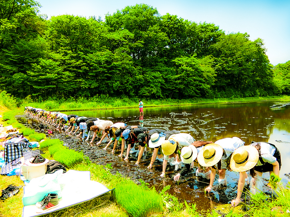 旅行 ファンクラブ田植え旅行ｉｎオレの田んぼ 募集開始 イベント えろ漫画家ピクピクン公式サイト